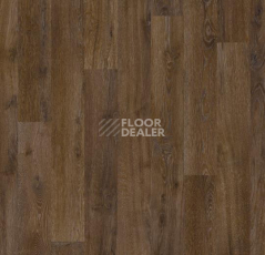 Ковролин Forbo Flotex Vision Naturals 010055 Chestnut фото 1 | FLOORDEALER